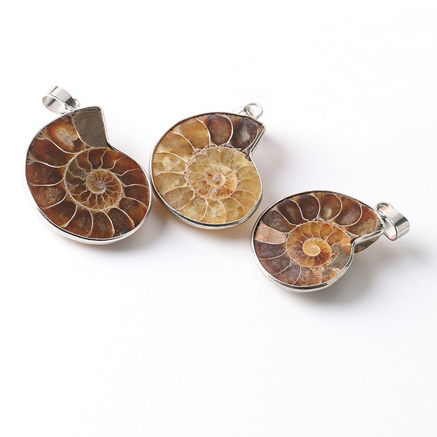 Natural Ammonite Irregular Snail Shaped Fossils Conch Universal Pendant for Men Women