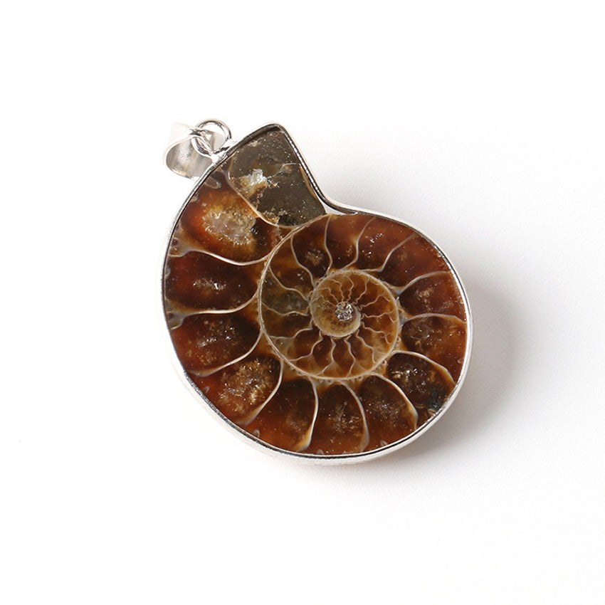 Natural Ammonite Irregular Snail Shaped Fossils Conch Universal Pendant for Men Women