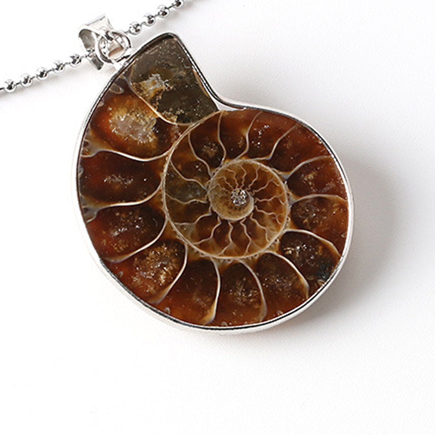 Natural Ammonite Irregular Snail Shaped Fossils Conch Universal Pendant for Men Women