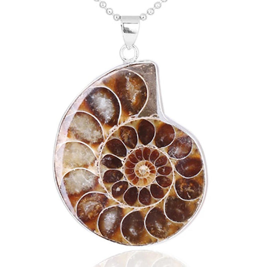 Natural Ammonite Irregular Snail Shaped Fossils Conch Universal Pendant for Men Women