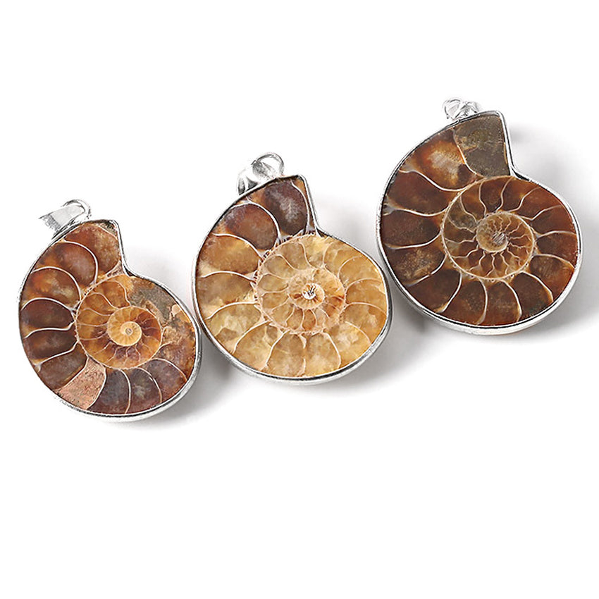 Natural Ammonite Irregular Snail Shaped Fossils Conch Universal Pendant for Men Women